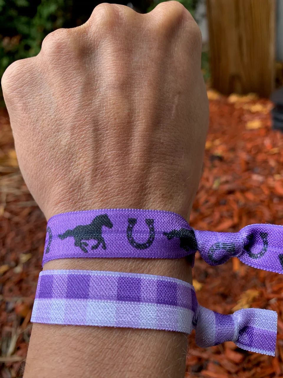 Girls Purple Equestrian Horse Hair Ties - 2pc Set